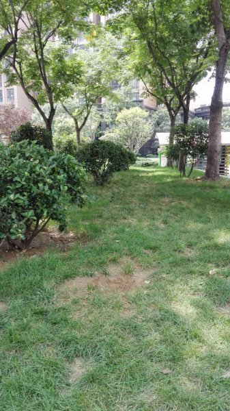 双河湾,龙湖外环南路6号-郑州双河湾二手房,租房,房价-郑州安居客