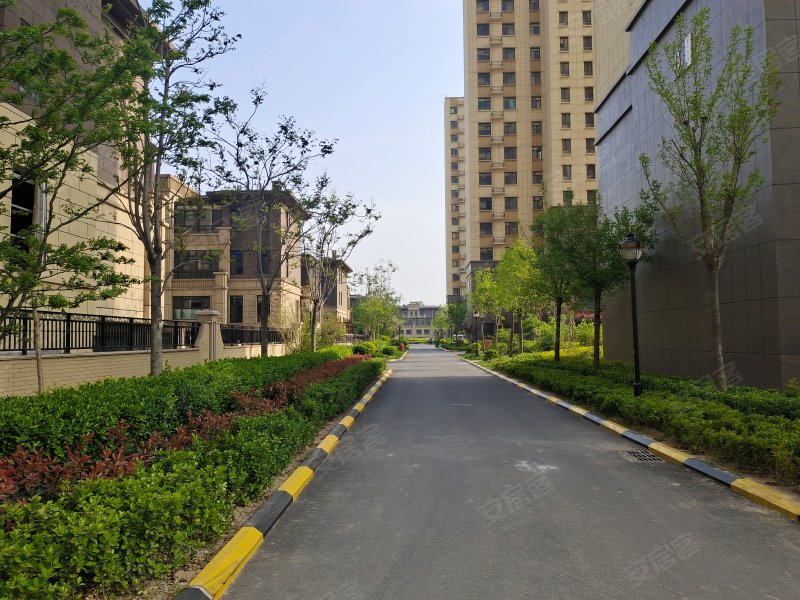 中海壹号(公寓住宅),黄河十二路-滨州中海壹号(公寓住宅)二手房,租房