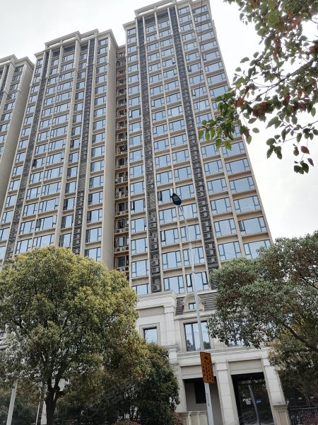 湖畔天下(商住楼) 