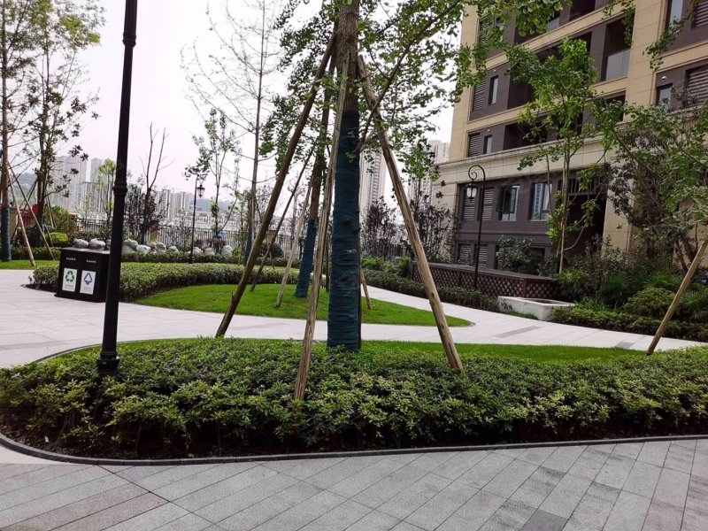 中交中央公园悦颂