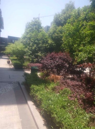 广盛公寓,义蓬中路320号 - 杭州广盛公寓二手房,租房,房价-杭州安居客