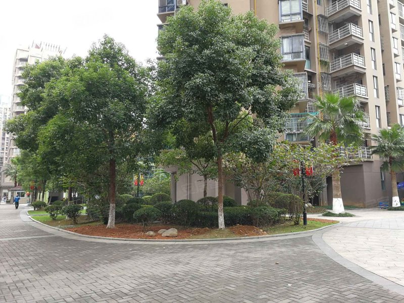 亦美大厦,龙泉巷-温州亦美大厦二手房,租房,房价-温州安居客