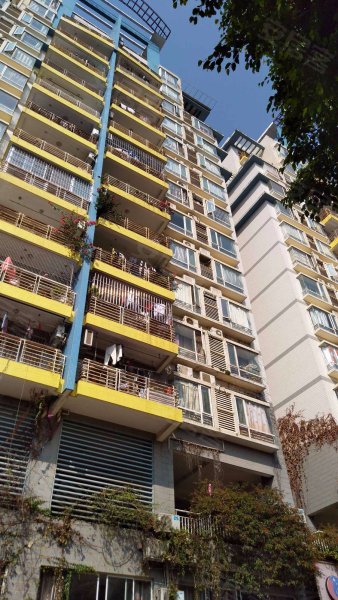 香格里拉花园(一期),长湖路59号-南宁香格里拉花园(一期)二手房,租房