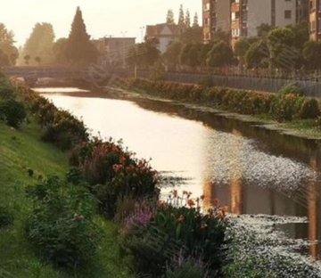 溧阳路1114弄洋房