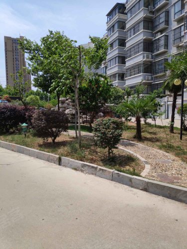 浦东花园,龙泉路 - 滕州浦东花园二手房,租房,房价-滕州安居客