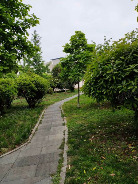 沂河花园(兰山),中丘路4号-临沂沂河花园(兰山)二手房,租房,房价-临沂