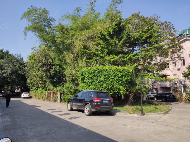 金桥花园玫瑰苑,国宾大道2号-福州金桥花园玫瑰苑二手房,租房,房价