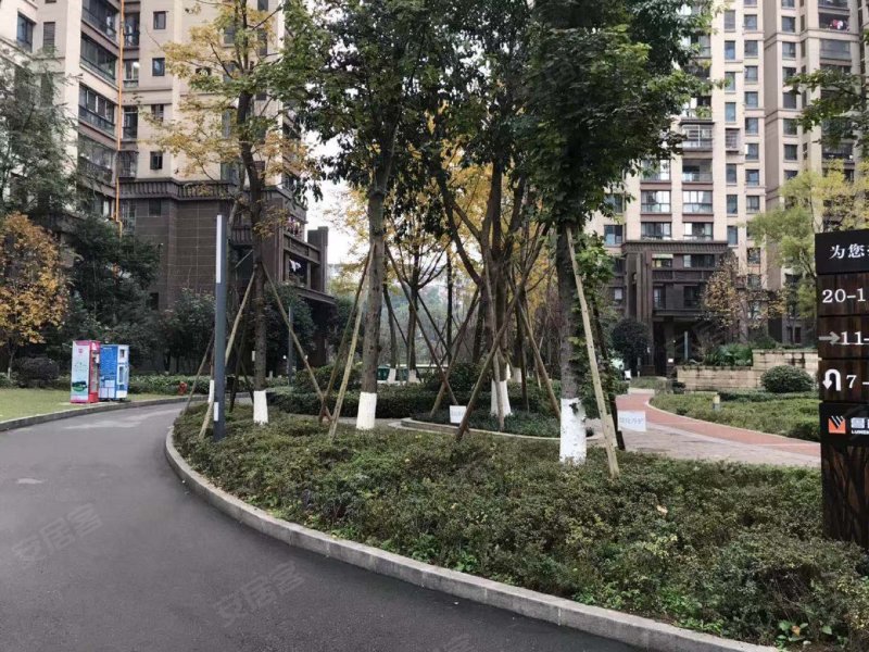 鲁能山水原著溢香谷
