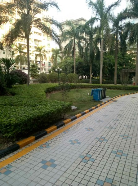 海文花园,学海路2001号-深圳海文花园二手房,租房,房价-深圳安居客