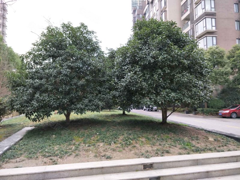 一品漫城(一期公寓住宅) 