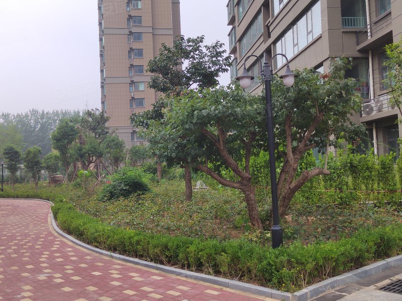 金鼎国际(兰陵)