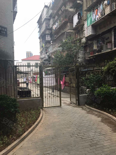 厦门图强路小区图片