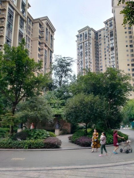 江南新区,沙茜北路-泸州江南新区二手房,租房,房价-泸州安居客