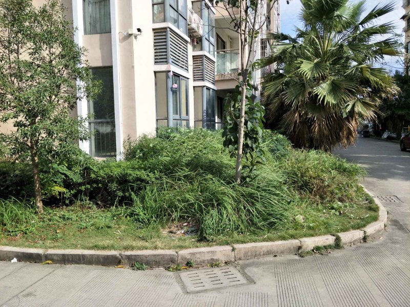 瑞都锦园,老涂南路-温州瑞都锦园二手房,租房,房价-温州安居客