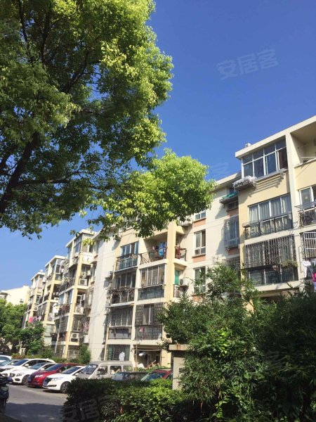 桃园新城中城苑 