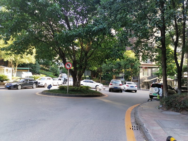 罗浮南山美庐,骑龙大道,近东环南路-达州罗浮南山美庐二手房,租房