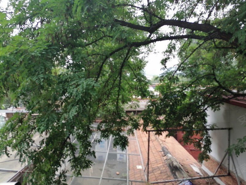 万树园小区,山庄路-承德万树园小区二手房,租房,房价-承德安居客