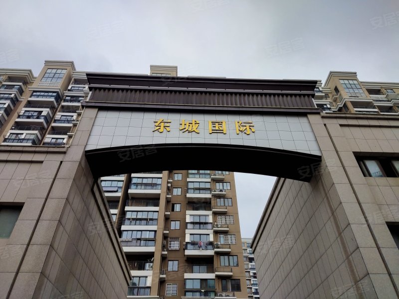 东城国际(芜湖县)