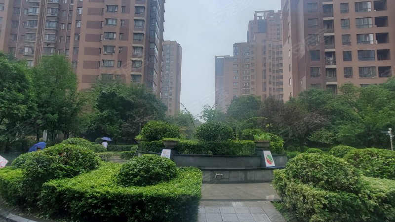 天地源枫林意树