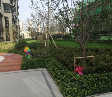 中南宸悦