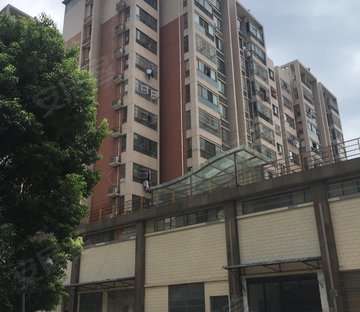 金海花园 近医院 电梯房 南向采光好 临地铁 满二