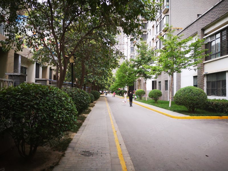 金泰假日花城南区