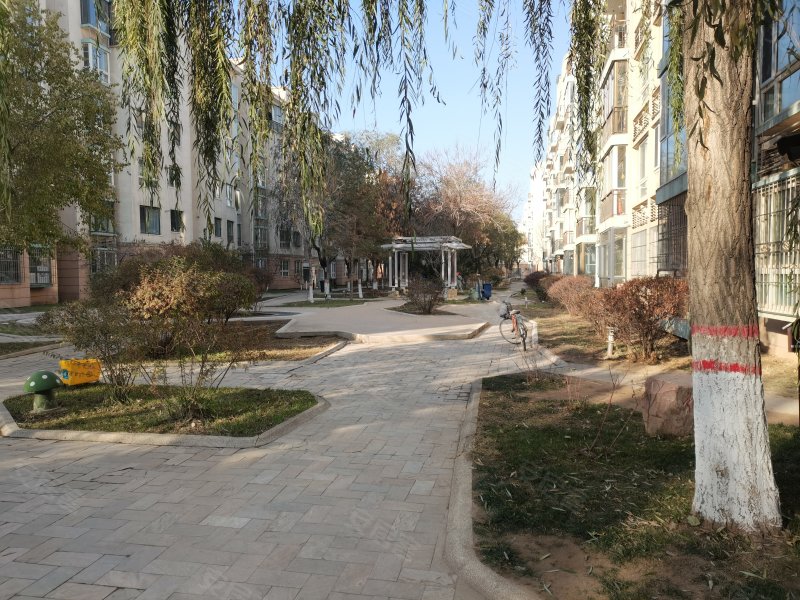 新世纪花园(东区),民族南街126号-银川新世纪花园(东区)二手房,租房