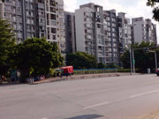 金沙洲小区图片