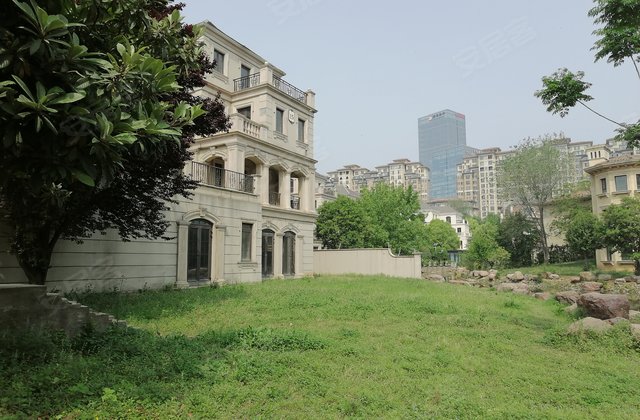 09㎡5室3厅5卫洛龙区 城心别墅 中央花园 带室内电梯 带200平露台价格
