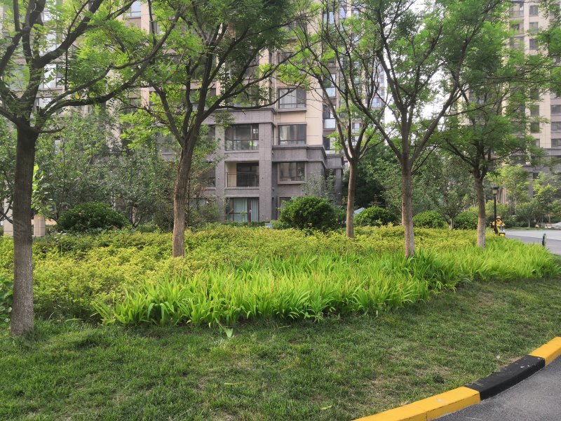 香橙小区,秦淮河路26号-烟台香橙小区二手房,租房,房价-烟台安居客