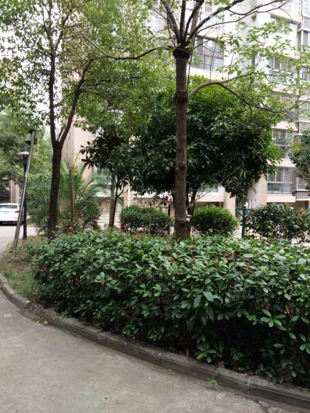 百江花园(一期7-12栋)