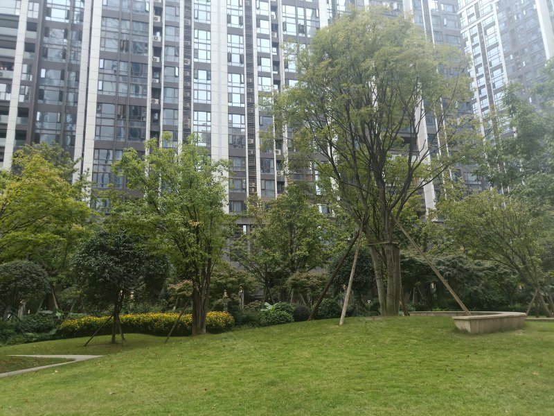 戛纳湾金棕榈,协和下街588号-成都戛纳湾金棕榈二手房,租房,房价-成都