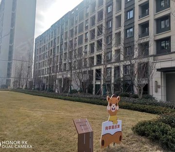新城西岸公园 精装好房 双卫 商品住宅 次新房 南北通透