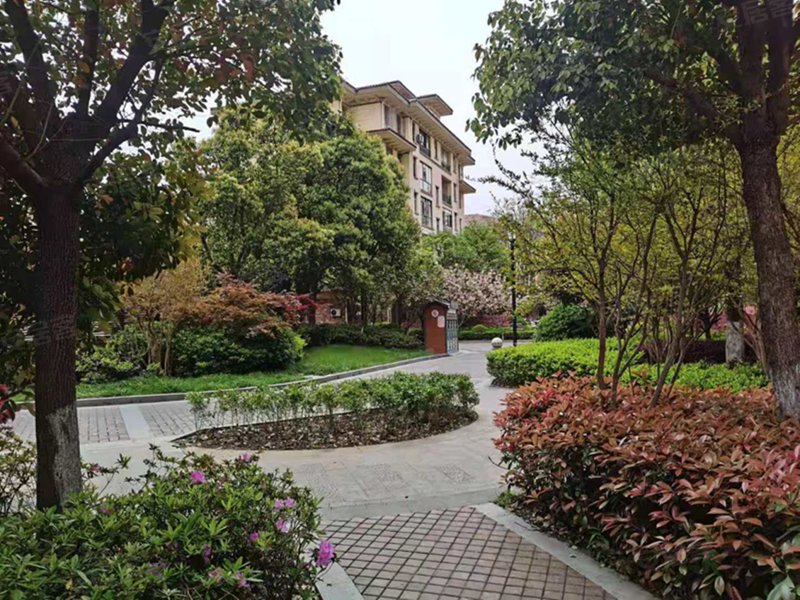 金仓华府,县府西街170号-苏州金仓华府二手房,租房,房价-苏州安居客