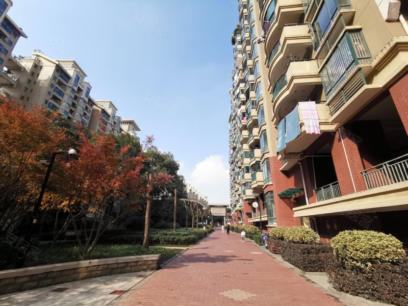 新科花园a区,新科路-义乌新科花园a区二手房,租房,房价-义乌安居客