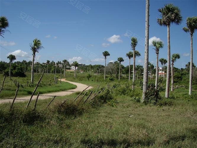 多米尼加约¥7947万土地卡巴雷特二手房土地图片