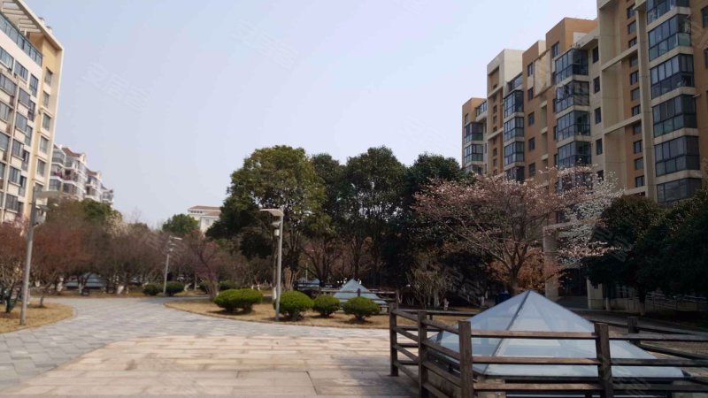 金鸡湖花园,环洲路-苏州金鸡湖花园二手房,租房,房价-苏州安居客