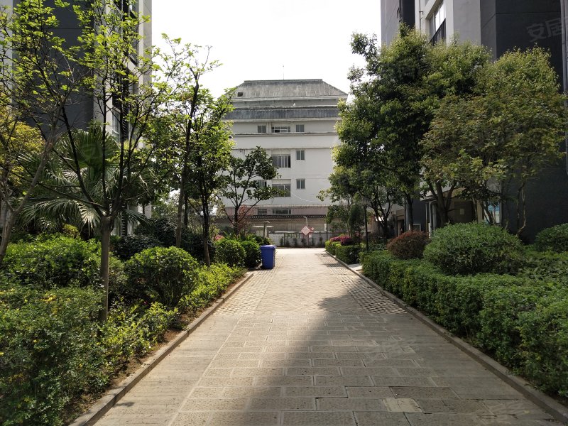 观山悦
