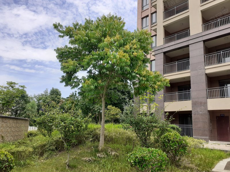 水岸新城,502县道-绍兴水岸新城二手房,租房,房价-绍兴安居客