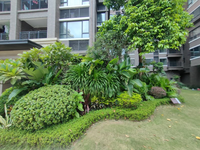 远洋风景,振兴路12号-中山远洋风景二手房,租房,房价-中山安居客