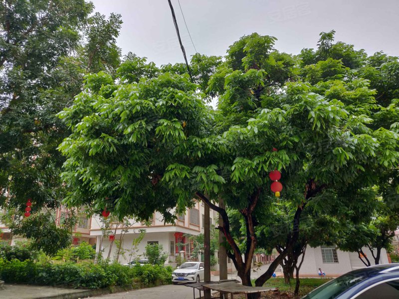 聚贤新村,茂名大道-茂名聚贤新村二手房,租房,房价-茂名安居客