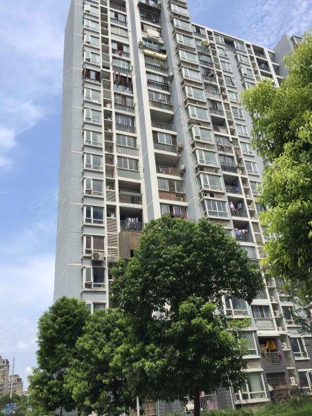 三杨新村二街坊 