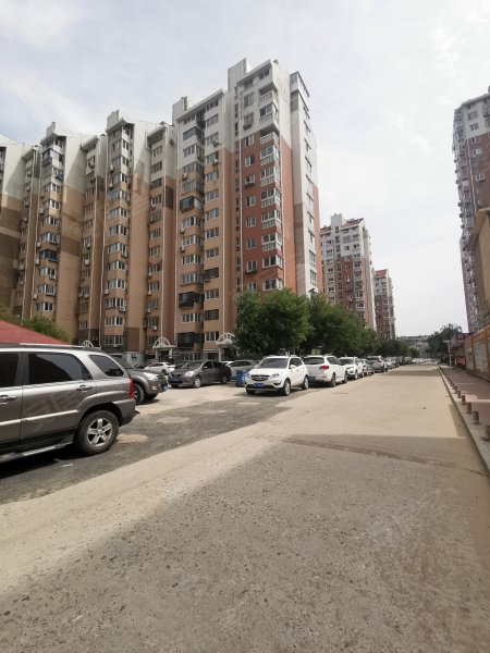 新世界花园(芝罘),园城路83号-烟台新世界花园(芝罘)二手房,租房,房价