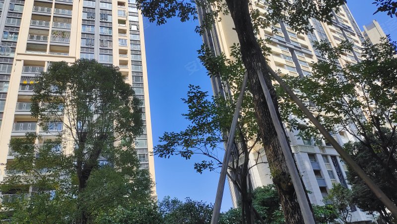 富丰君御,佛平四路1号-佛山富丰君御二手房,租房,房价-佛山安居客