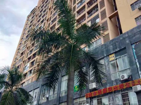 鹅城国际,鹅岭南路31号-惠州鹅城国际二手房,租房,房价-惠州安居客