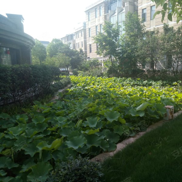 中凯铂宫嘉凯城,天泽街9号-郑州中凯铂宫嘉凯城二手房,租房,房价-郑州