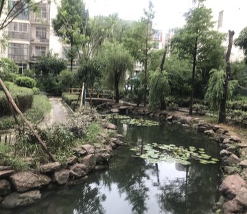 金色阳光