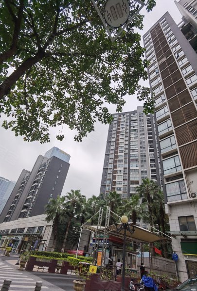 保利花园(三期),佛山市南海区海七路39号-佛山保利花园(三期)二手房