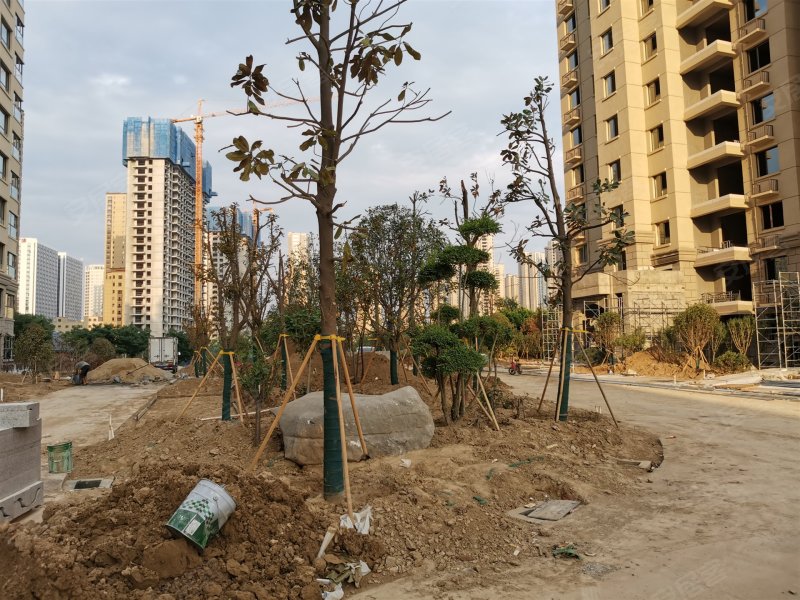 永泰龙泽园,长江路-菏泽永泰龙泽园二手房,租房,房价-菏泽安居客