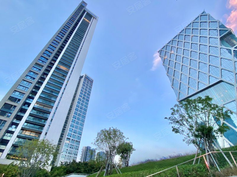 华润深圳湾悦府(一期)